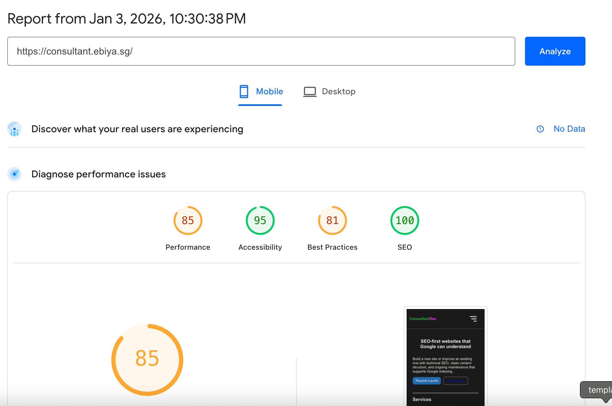 Before optimization: poor PageSpeed score
